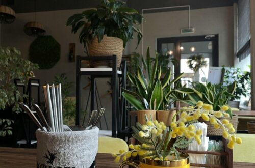 Why Artificial Plants are Perfect for Your Living Spaces