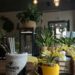 Why Artificial Plants are Perfect for Your Living Spaces