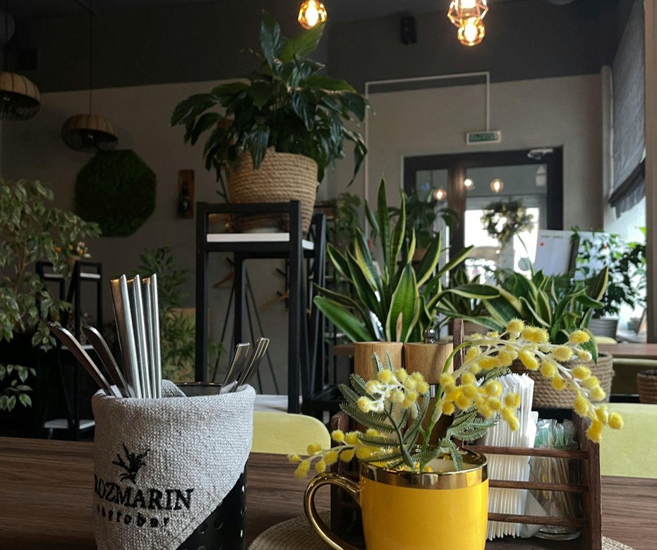 Why Artificial Plants are Perfect for Your Living Spaces